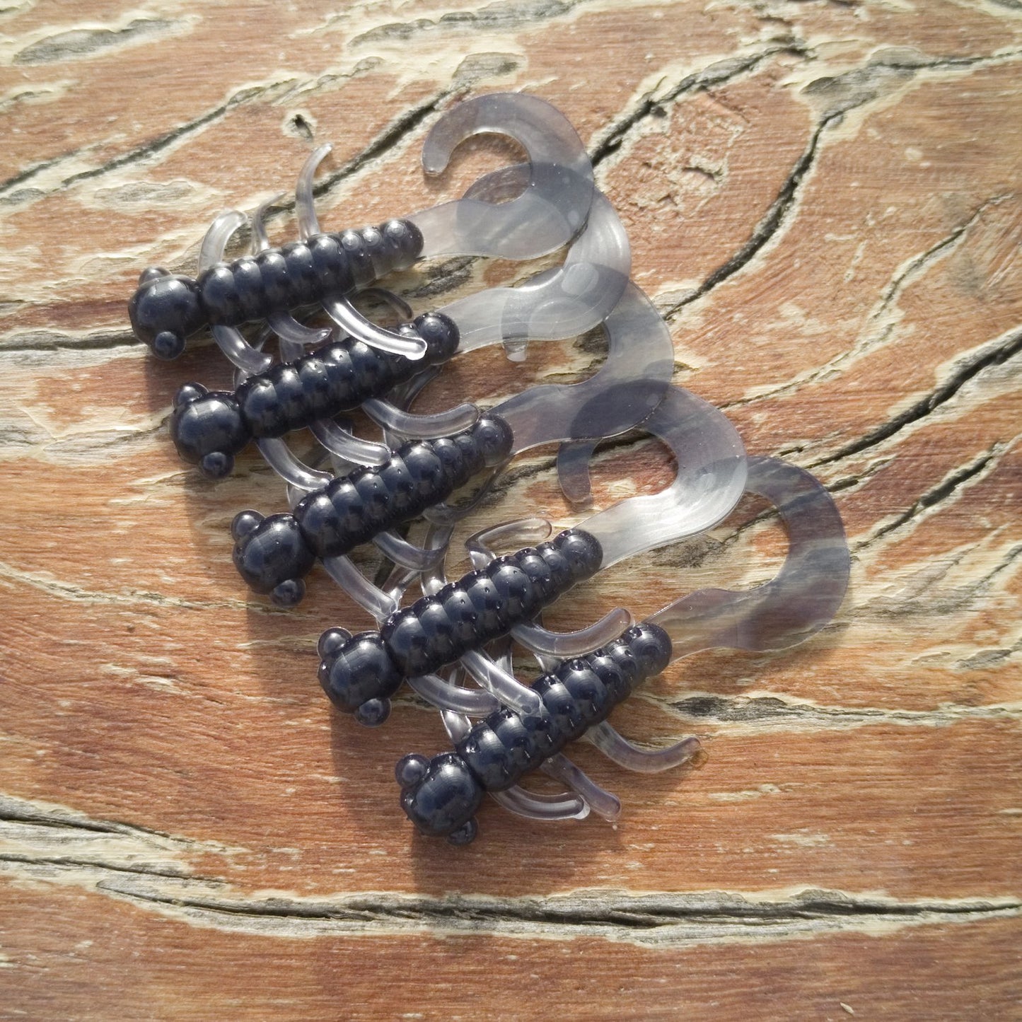 CurlTail Bugs - CurlTail Bugs