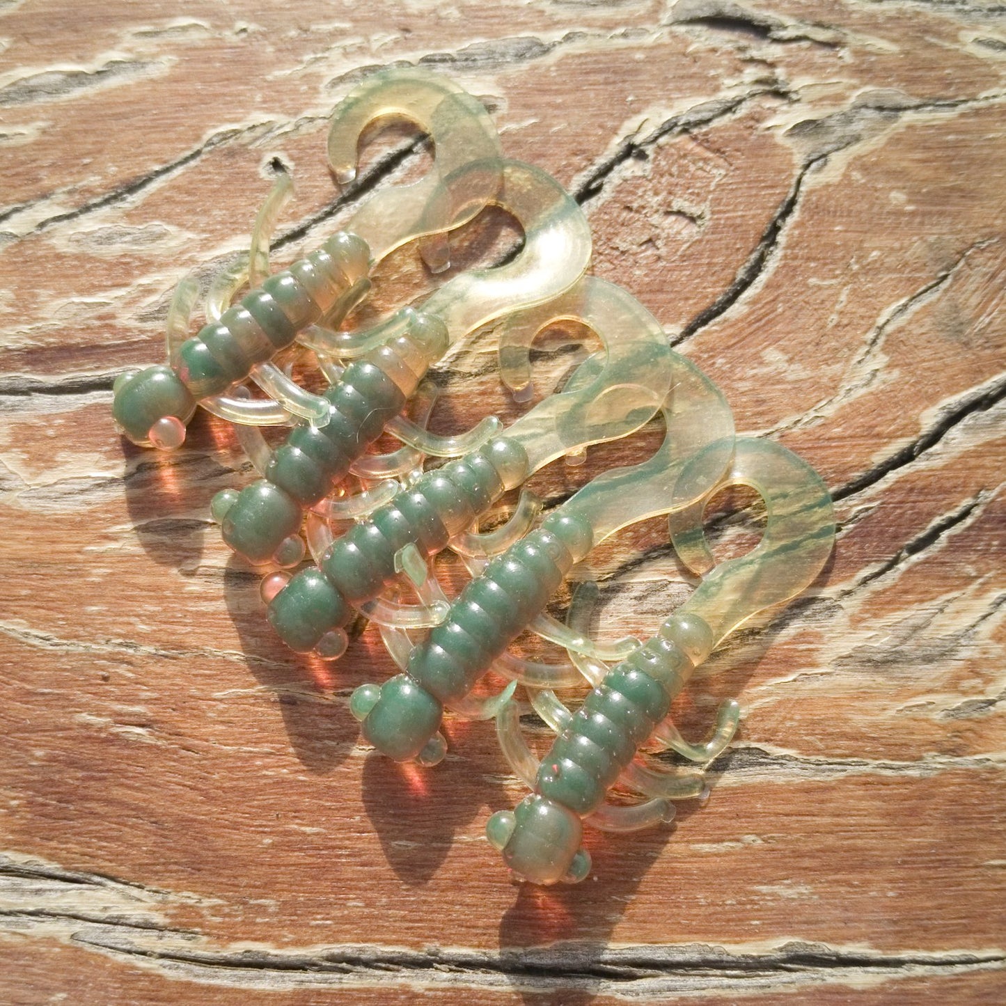 CurlTail Bugs - CurlTail Bugs
