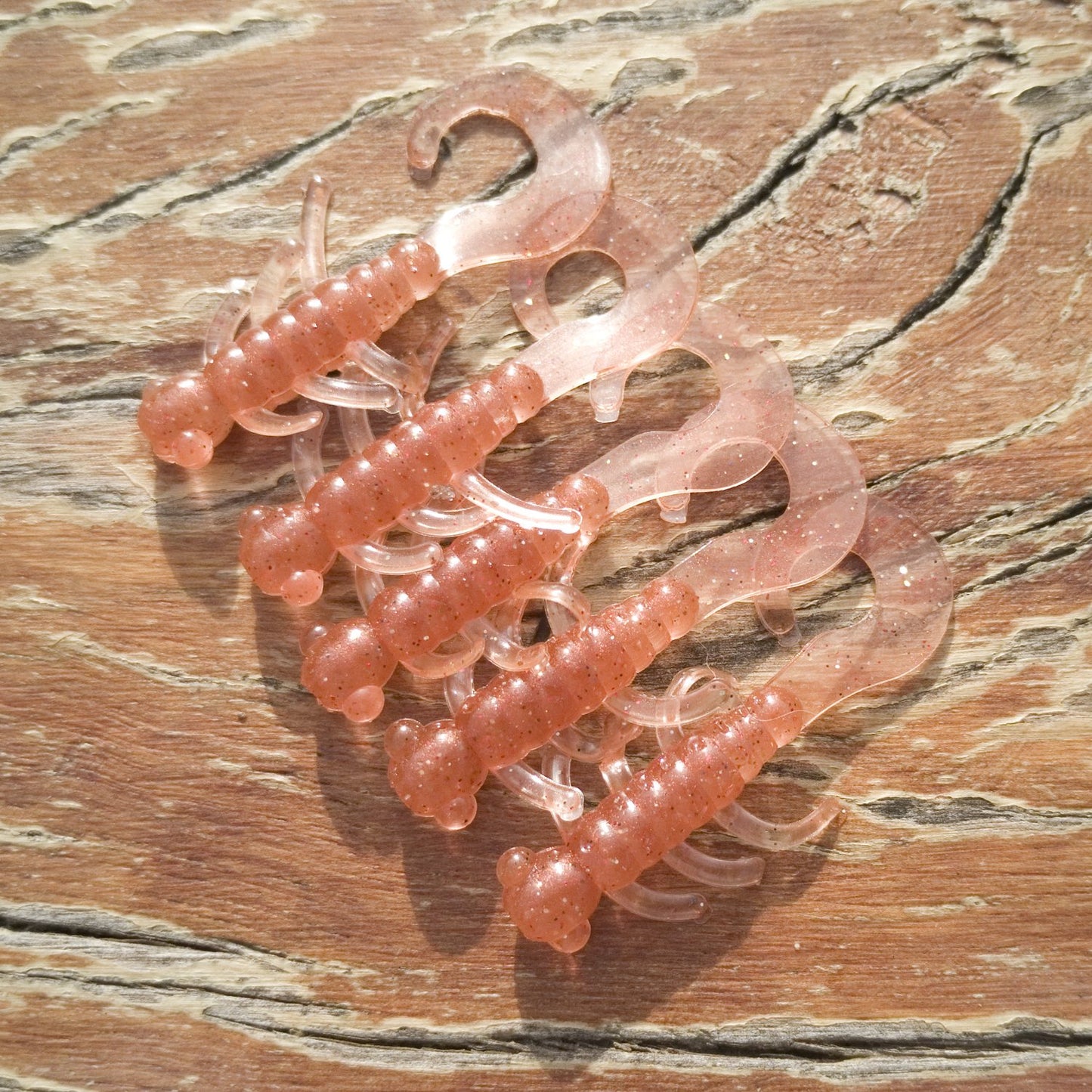 CurlTail Bugs - CurlTail Bugs
