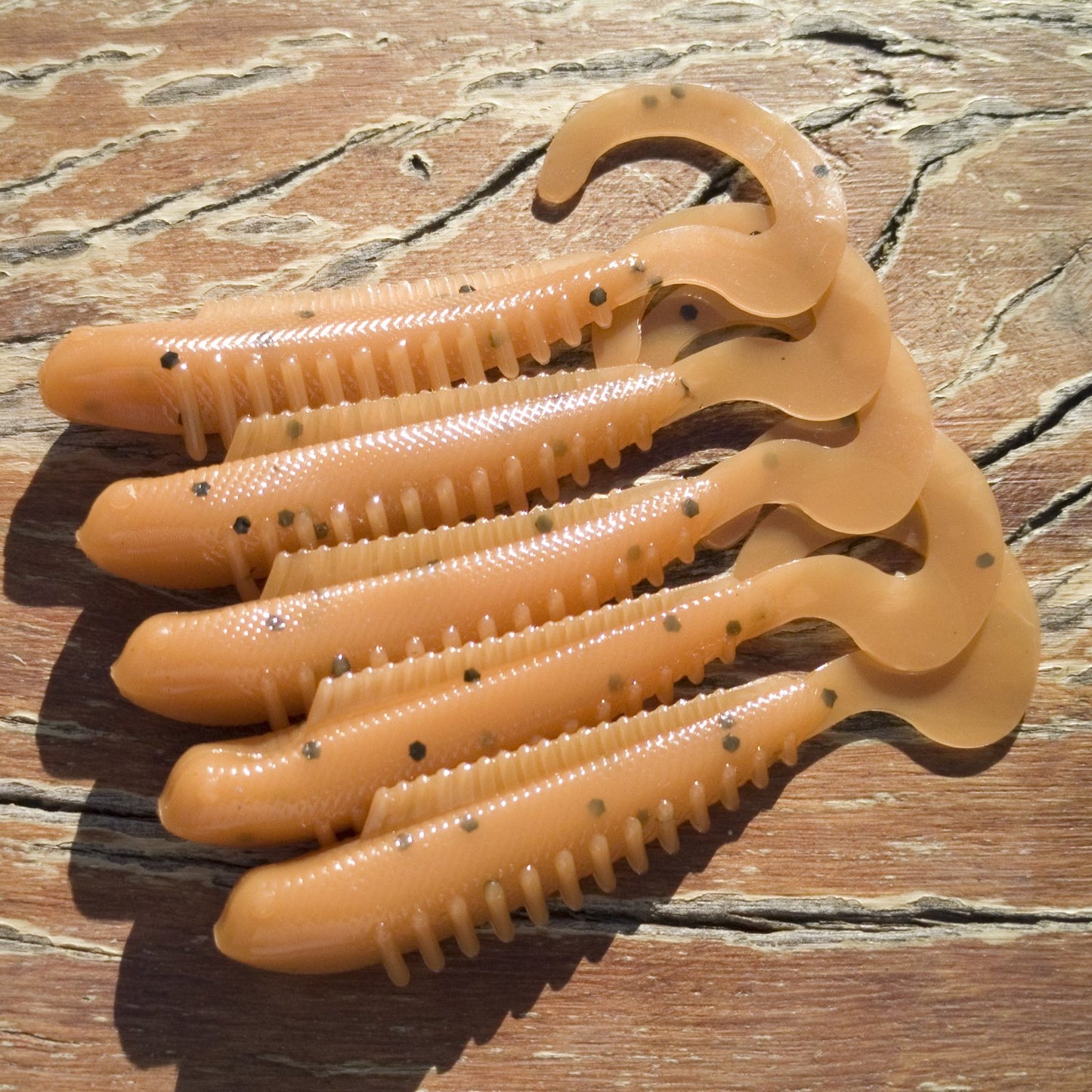 CTail Minnows - CTail Minnows