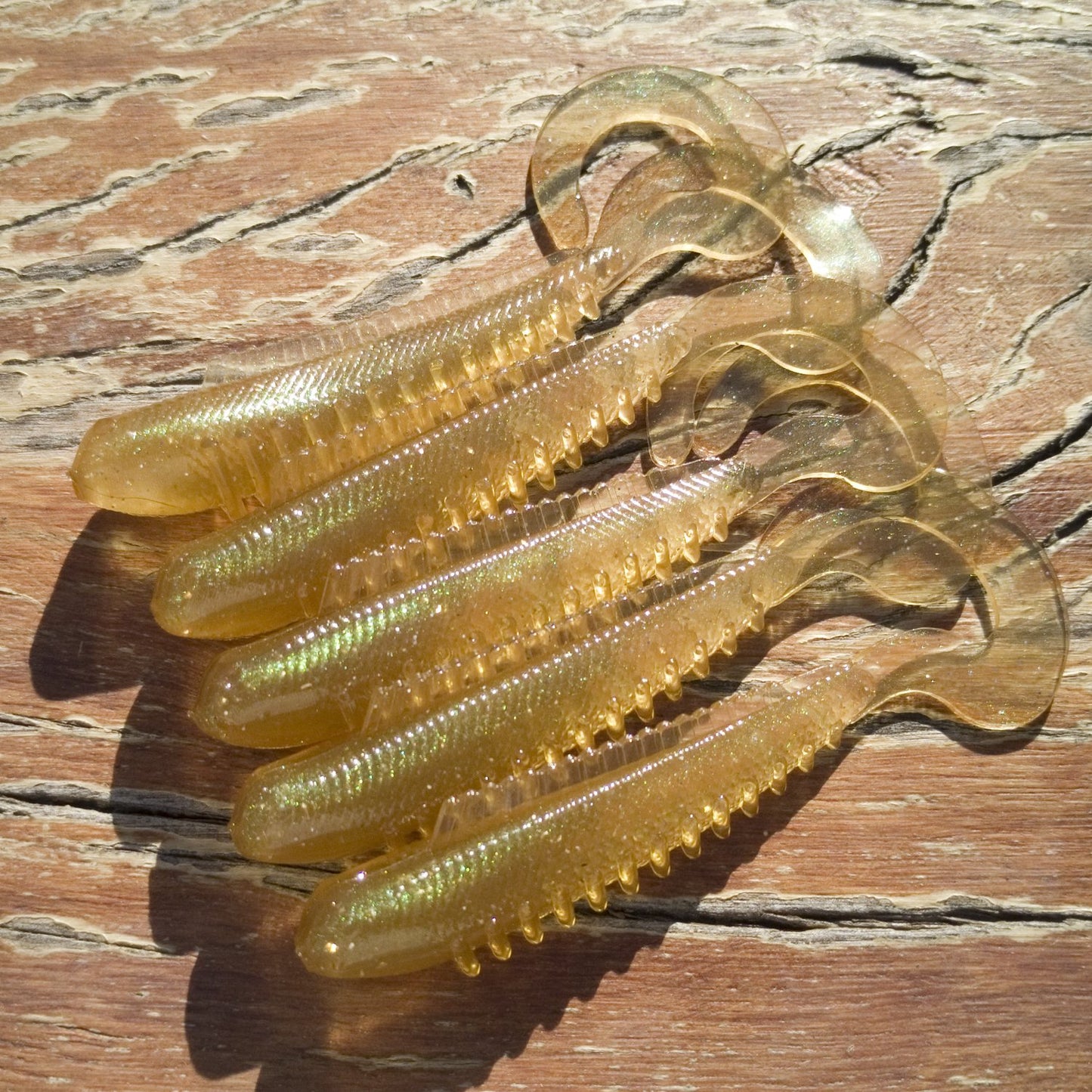 CTail Minnows - CTail Minnows