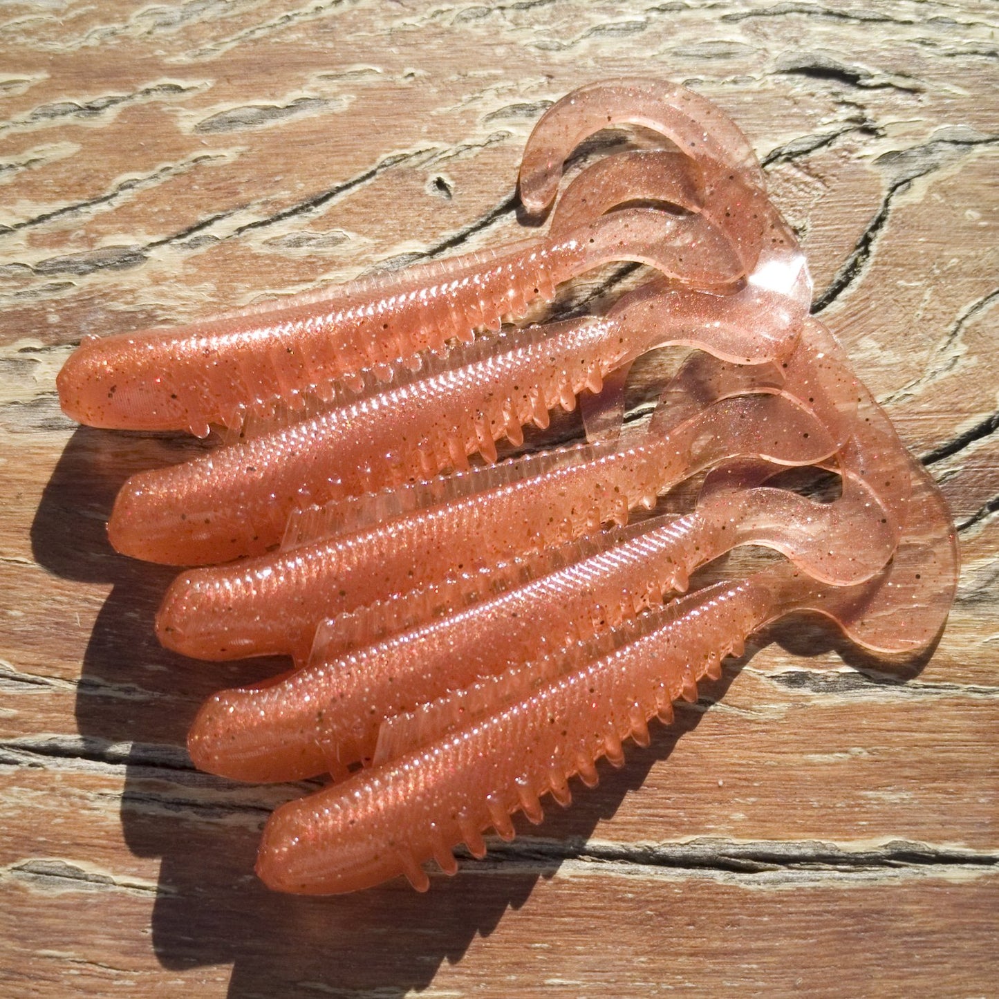 CTail Minnows - CTail Minnows