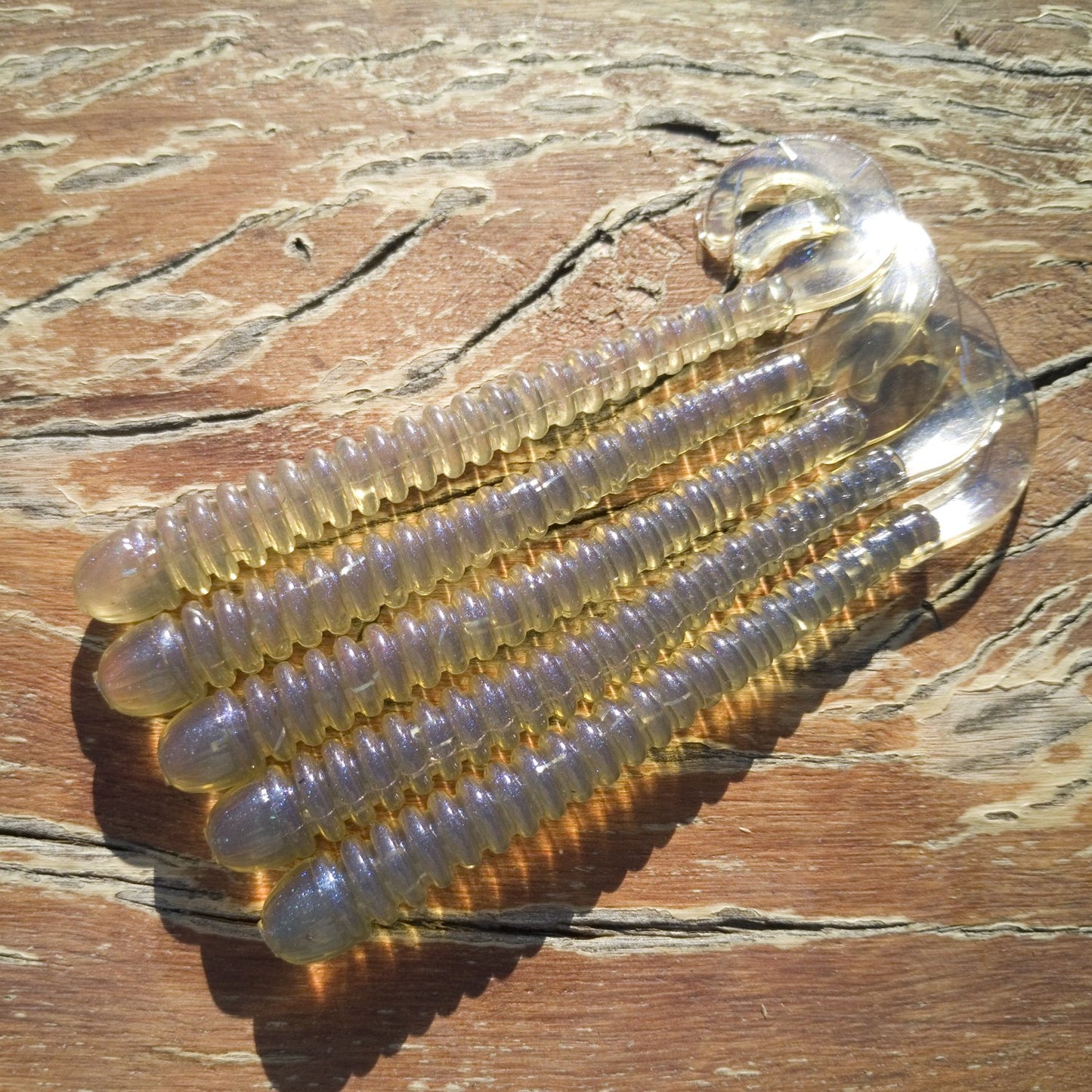 ZipTail Worm - ZipTail Worm