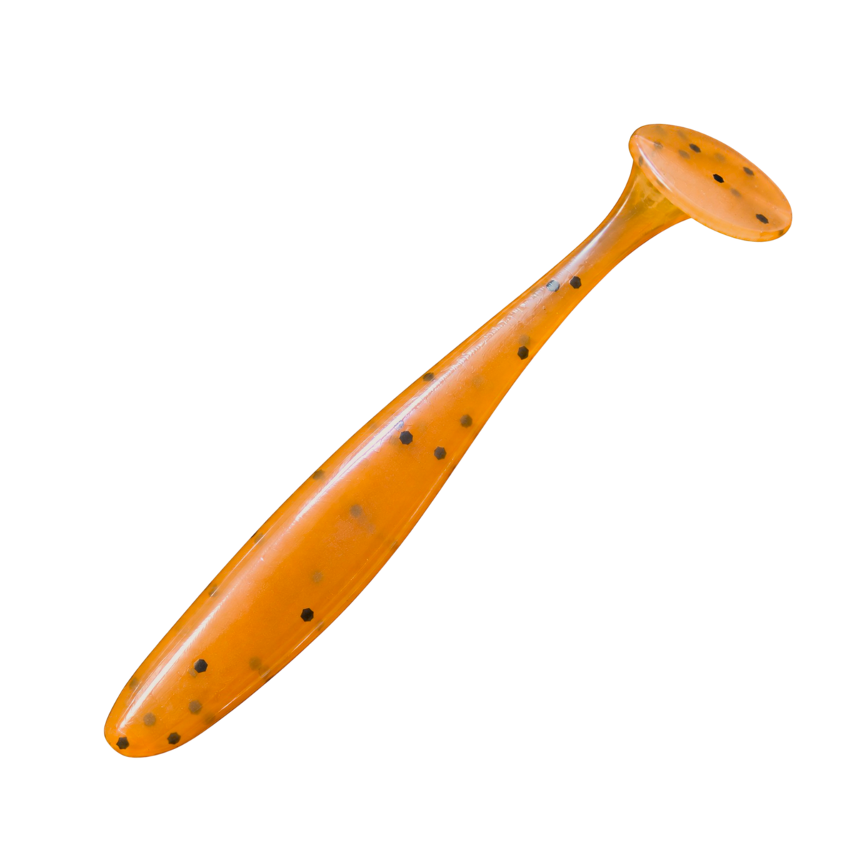 PaddleTail