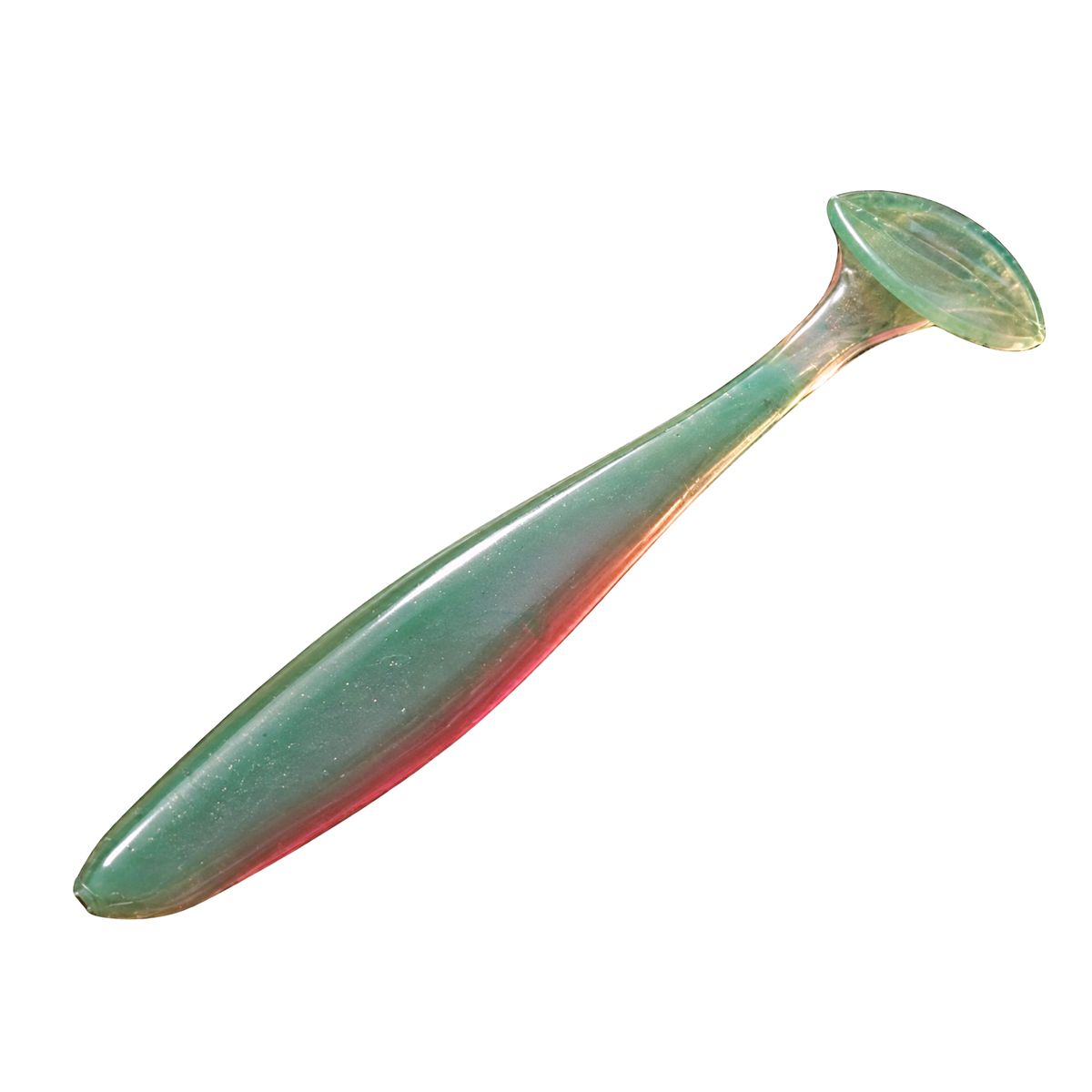 PaddleTail