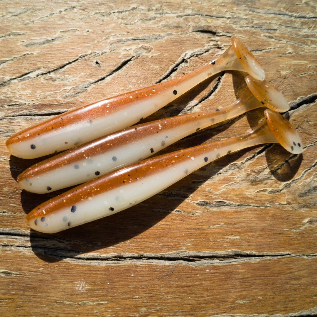 PaddleTails - PaddleTail